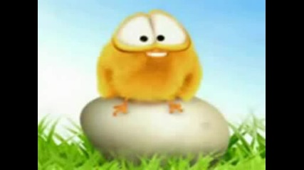 Crazy chicken jingle nnn