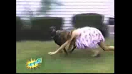 Много Смях