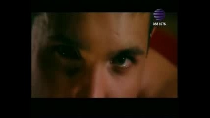 Kamelia - Kaji mi kak