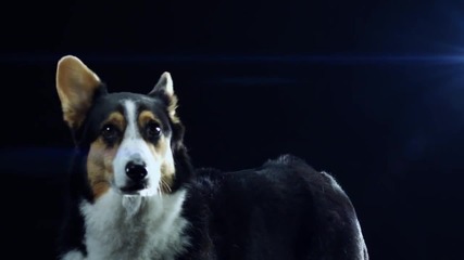 *страхотна Песен* Swedish House Mafia - Save The World (official Music Video)
