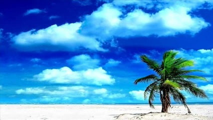 New * Alle ft. Club Project - Summer Dream