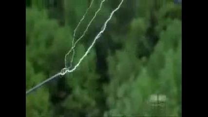 Worlds Most Craziest and Dangerous Job 