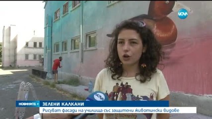Екографити разкрасиха бургаско училище