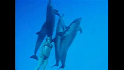 Жена плува с делфини :)