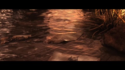 Far Cry 2 Trailer(hd)