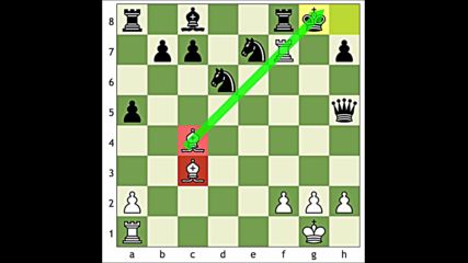 Spicy Gambits- The Danish Gambit -