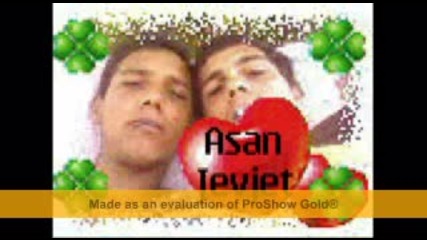 asen_ludiq
