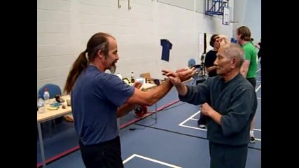 Ip chun chi sao 