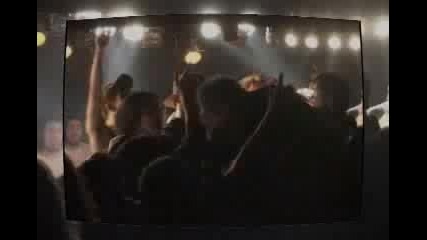 Loyal To The Grave - Terror