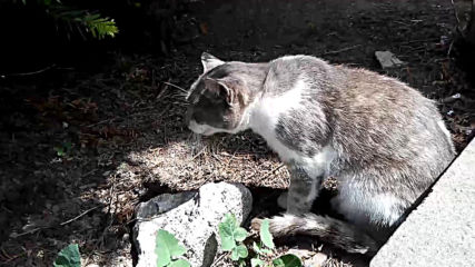 VID_20150714_142117