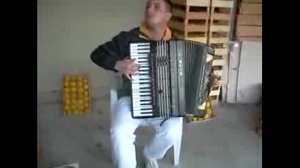 Ristetusevski Sviri