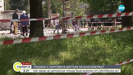 Ще се появи ли картофена нива пред сградата на общината в Благоевград?