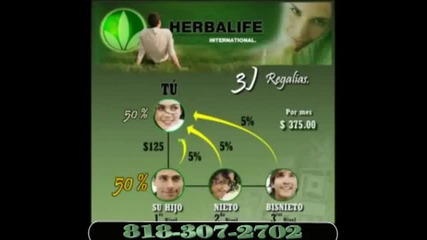 Como Funciona Herbalife 