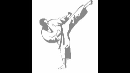 Karate Kungfu Tae Kwon Do