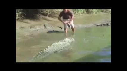 Човек целува крокодил за да му пусне ръката