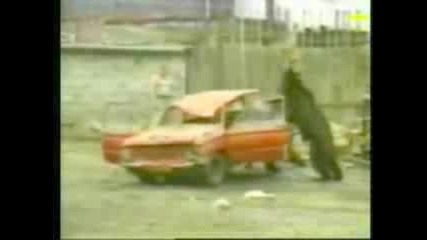 Мечки Разбойници