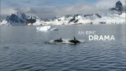 Frozen Planet