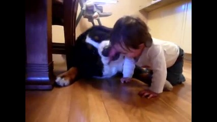 Голямо куче и бебе