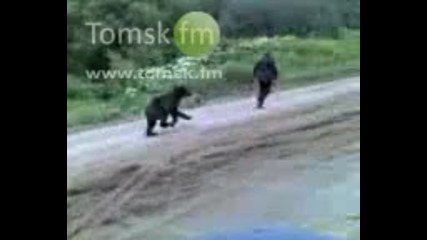 Бягай бързо,че мечката те гони!