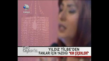 Yildiz Tilbe - Kir Cicekleri