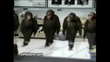 Маймунита играят хоро (пародия)