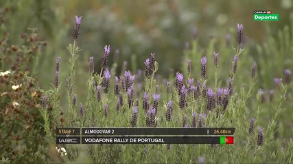 Wrc 2014 4-ти кръг Portugal ден 1