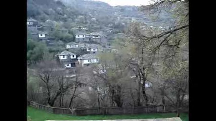 Kovachevica
