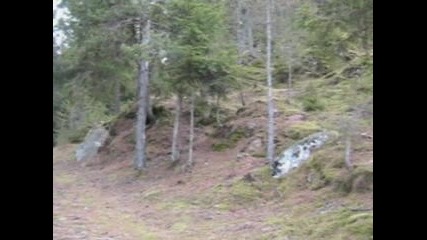 Картини и звуци от Родопите - Приказната гора - 2
