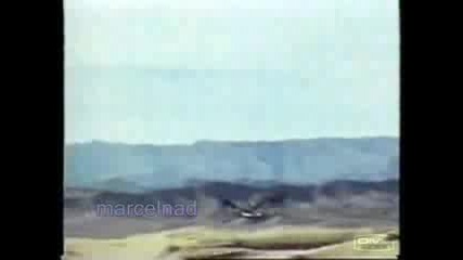hunting wolves with a golden eagle in Mongolia. Kazajst