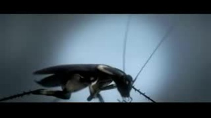 The Rasmus - Justify