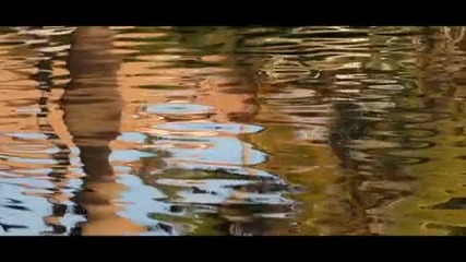 Красотата на земята