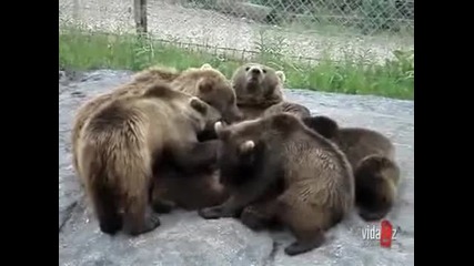 Любов и нежност