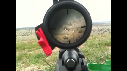 Поглед през оптиката на снайпер