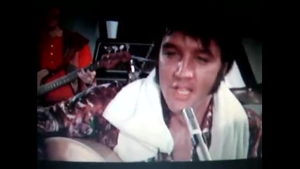 Youtube - elvis falls off chair! very funny...he thinks so too! 