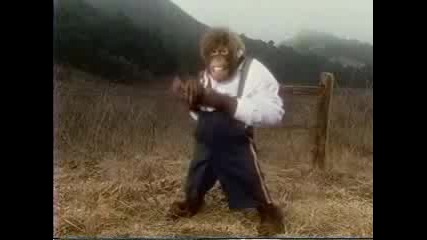 Monkey Movie A Dances With Wolves