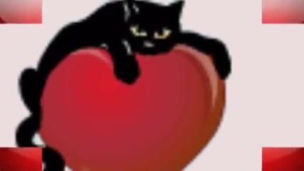Bonne Saint Valentin