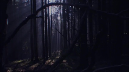 The Cure - A forest