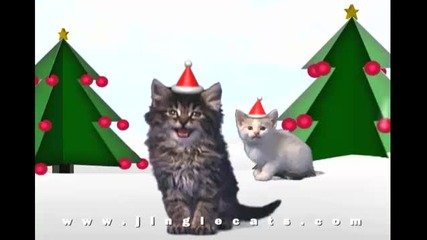 Jingle Cats What Child is This 