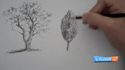 Как да нарисуваме дървета