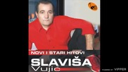 Slavisa Vujic - Ljubavnica - (audio) - 2010 BN Music