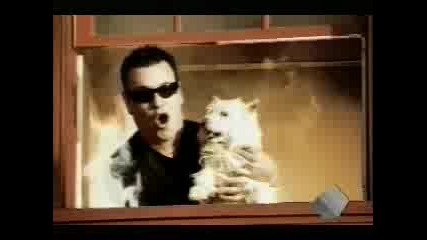 Smash Mouth All Star