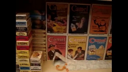 Camel Box Coleccion
