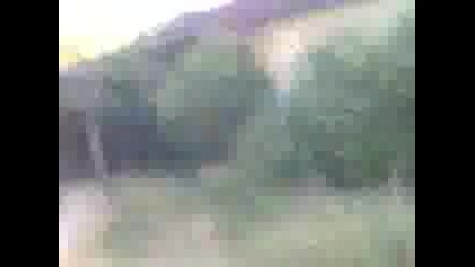 mish00