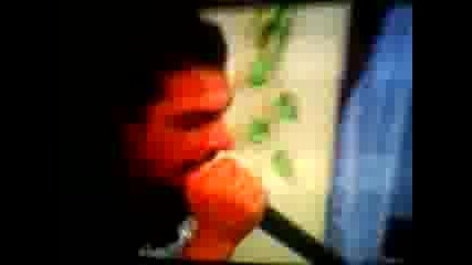 engin peveca