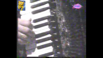 Саня Шегуев - Тудже, Дудже Нека Е