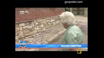 Господари на Ефира - Жабежко Нашествие 15.07.2010 
