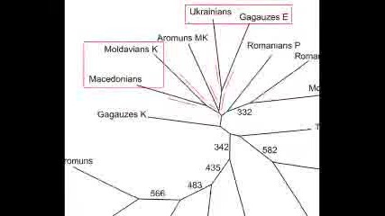 Българи=гагаузи=македонци