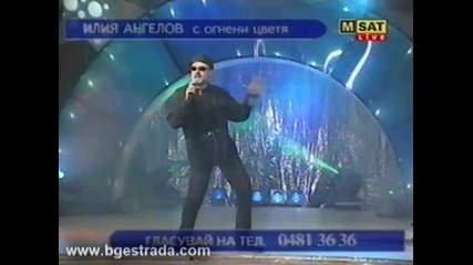 Илия Ангелов - Огнени цветя (2002)