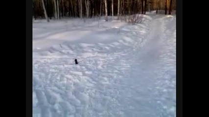 Бомба мулотовка от водка 