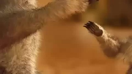 Messi - Pepsi 2010 - New advert Hd